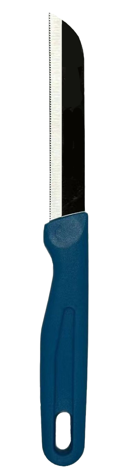 Fruit Knife
